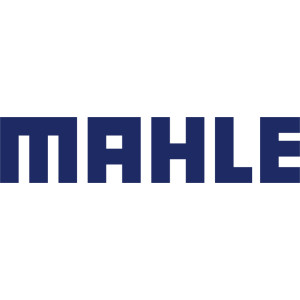 Mahle Original