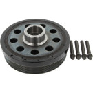 CORTECO Samen 80004879