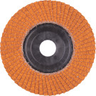 4932472233 Fächerschleifscheibe 125mm