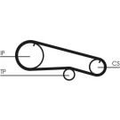 Continental CTAM Zahnriemen CT668