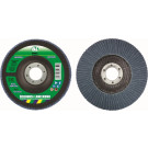 050125 Boll Klappenscheibe 125x22-95A-P40