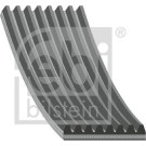 FEBI BILSTEIN Rillenriemen | 45296