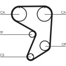Continental CTAM Zahnriemen CT900