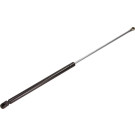 Gasfeder, Koffer-/Laderaum | 12-0136
