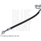 BluePrint Bremsschlauch ADG053266