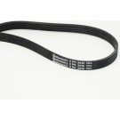 Continental CTAM Rillenriemen 5PK2030