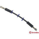 BREMBO Bremsschlauch | T 23 035
