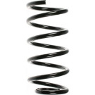 SPIDAN Fahrwerksfeder | 49190