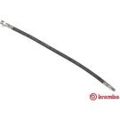 BREMBO Bremsschlauch | T 23 130