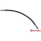 BREMBO Bremsschlauch | T 50 025