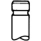 Einlassventil | CITROEN C1,C3,OPEL,DS,PEUGEOT 09 | 539040