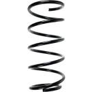 SPIDAN Fahrwerksfeder 49265