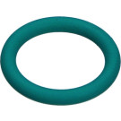 1 928 300 719 Gummiring