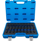 BGS Kraft-Bit-Einsatz-Satz | 27-tlg | 5484