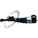 TRUCKTEC AUTOMOTIVE Fahrwerksfeder | 02.30.386