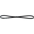 Keilrippenriemen | FIAT,LANCIA,NISSAN | 1987947886