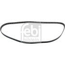 FEBI BILSTEIN Zahnriemen | 14364