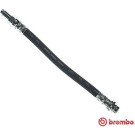 BREMBO Bremsschlauch | T 86 033