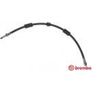 BREMBO Bremsschlauch | T 85 126