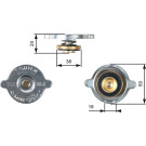 GATES Deckel schließen, Kühler RC115