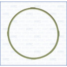 01099500 Dichtung, Drosselklappenstutzen