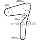 Zahnriemen | ALFA 156 1.9 JTD 16V | 5600XS
