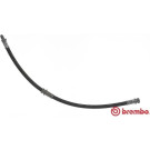 BREMBO Bremsschlauch | T 50 048