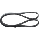 1 987 946 069 Keilrippenriemen