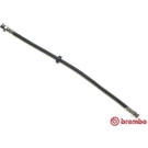 BREMBO Bremsschlauch | T 85 074