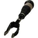 11-1218 Luftfederbein