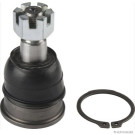 82 303 075 Traggel. VA unten li/re | TOYOTA Avensis Verso 01 | J4862061