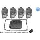 Ölwechselkit mit Öl AUDI,VW MEYLE-ORIGINAL-KIT: Better solution for you 1001350016