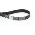 Continental CTAM Zahnriemen CT793