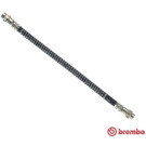 BREMBO Bremsschlauch | T 61 030