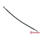BREMBO Bremsschlauch | T 50 020
