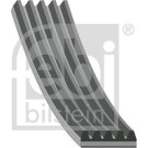 FEBI BILSTEIN Rillenriemen | 28862