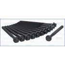 Zylinderkopfschraubensatz | 81019800