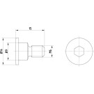 Schraube, Bremsscheibe | TPM0001