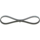 Keilrippenriemen CHEVROLET,OPEL,ALFA Elastic 1987946123