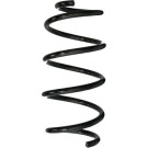SPIDAN Fahrwerksfeder | 88045
