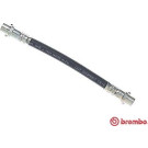 BREMBO Bremsschlauch | T 85 063