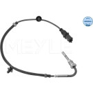 SENSOR, ABGASTEMPERATUR | 6148000061