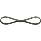 1 987 947 847 Keilrippenriemen