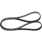 1 987 946 094 Keilrippenriemen