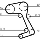 Continental CTAM Zahnriemen CT831