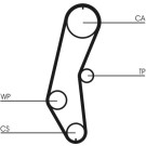Continental CTAM Zahnriemen CT666