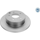 85 482 030PD Bremsscheibe HA Platinum | NISSAN Qashqai,Juke 07 | 36-15 523 0033/PD