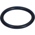 Vakuumpumpendichtung Fiat Ducato 1.9Td 94 | 9565314080 Vakuumpumpendichtung Fiat Ducato 1.9Td 94 | 9565314080