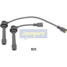 Zündleitungssatz IC-821