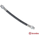 BREMBO Bremsschlauch | T 06 031